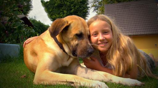 Folge 9: Neue Herausforderungen (S02/E09) | Rechte: MITTELDEUTSCHER RUNDFUNK Mädchen mit Hund