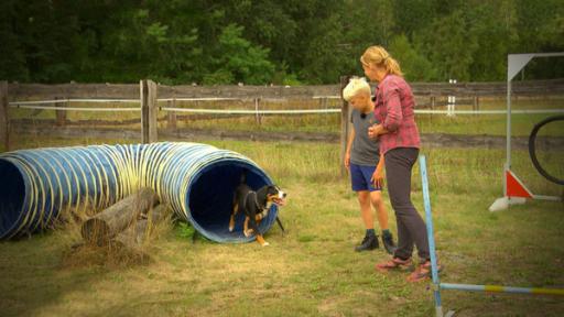 Liebste Fellnasen - Hundeschule Staffel 2 Folge 4 | Rechte: MITTELDEUTSCHER RUNDFUNK Frau und Junge bei Hundetraining