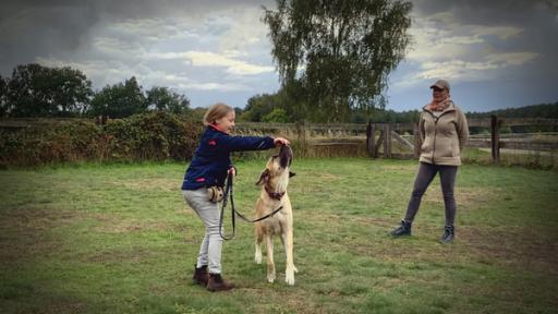 Liebste Fellnasen - Hundeschule Staffel 2 Folge 12 | Rechte: MITTELDEUTSCHER RUNDFUNK Hundetrainerin mit Mädchen und Hund