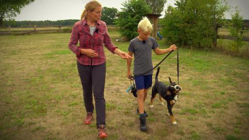 Folge 2: Der Hund - das unbekannte Wesen? (S02/E02) | Rechte: MITTELDEUTSCHER RUNDFUNK Frau und Junge mit Hund