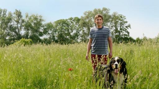 Wiese | Rechte: ZDF Fritz und Keks auf einer Wiese