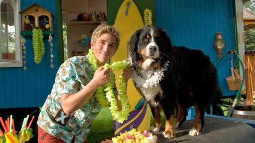 Fritz trägt eine Hawaii-Blumenkette und ist dabei Keks auch eine Kette umzulegen.