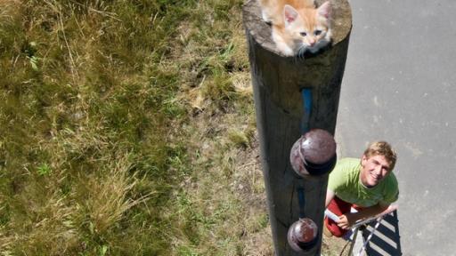 Katze Bühne L | Rechte: ZDF Katze