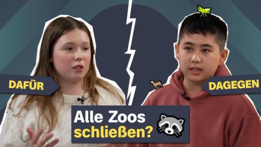 Diskussion bei logo! no.front zum Thema Zoos | Rechte: ZDF Diskussion bei logo! no.front zum Thema Zoos