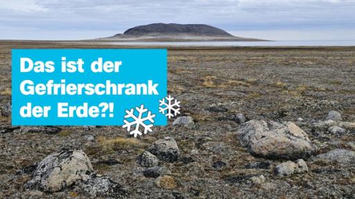 trockener Boden