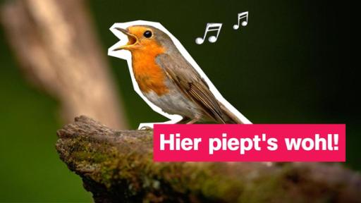 Sendung 090325 | Rechte: ZDF Sendung 090325