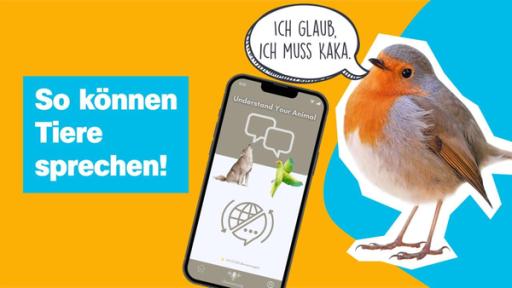 Sendung am 1.4.25 | Rechte: ZDF Ein Smartphone zeigt eine App, daneben steht ein Rotkehlchen mit einer Sprechblase und sagt: "Ich glaub, ich muss Kacka."