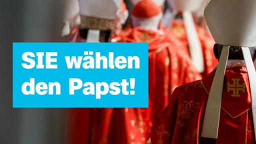 Viele Kardinäle sind von hinten zu sehen, daneben ein Schriftzug: SIE wählen den Papst.