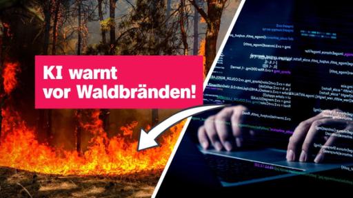 Sendungsteaser 11. April 2025 | Rechte: ZDF Links ist ein loderndes Feuer im Wald zu sehen, rechts eine Darstellung von Händen, die auf eine Computertastatur tippen. Dazu der Schriftzug: "KI warnt vor Waldbränden!"