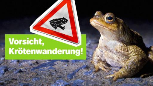 logo! vom 16.03.2025