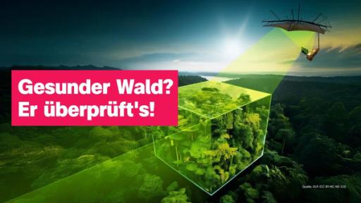 Eine Drohne fliegt über einen Wald und scannt einen Teil ab. Daneben der Schriftzug: "Gesunder Wald? Er überprüft's!"