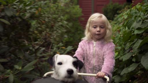 Rechte: KiKA Mara und Ludo, der Hund von Omas Nachbarn, machen einen Ausflug.