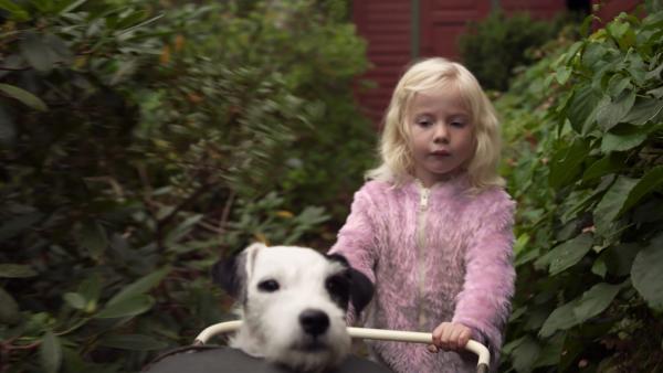 Mara und Ludo, der Hund von Omas Nachbarn, machen einen Ausflug.