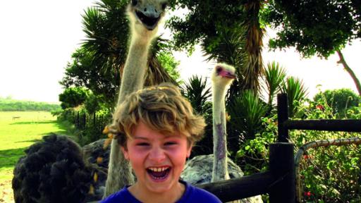 Merla und Leo in Afrika: Der größte Vogel der Welt | Rechte: SWR Mein Bruder und ich - In Südafrika: Der größte Vogel der Welt (Folge 1)