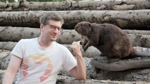 Baumeister Biber - Gut für Umwelt und Artenvielfalt | Rechte: WDR | tvision Moderator Robert sitzt auf einem Stapel gefällter Bäume. Neben ihm sitzt ein ausgestopfter Biber, auf den er deutet.