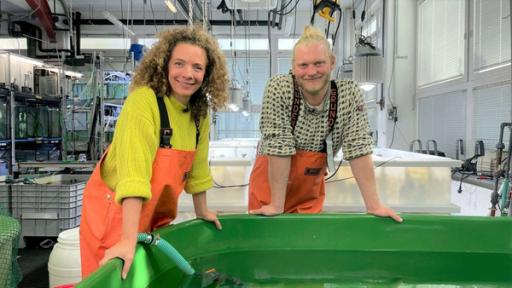 Leer gefischt? - Wie wir die Fische im Meer schützen können - | Rechte: WDR | tvision Gesa steht mit dem Meeresbiologen Felix an einer großen Wanne. Hinter ihnen sind verschiedene Becken und Aquarien.