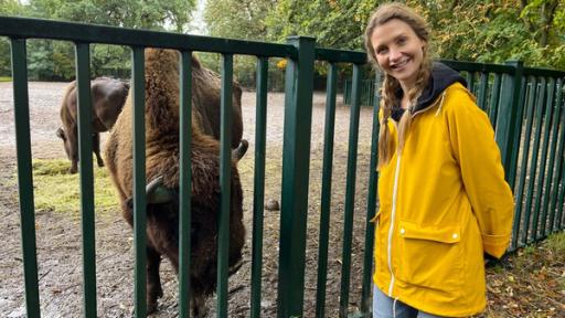Vom Zoo in die Wildnis - Wie Wisente in ihre Heimat zurückkehren | Rechte: WDR Jana, Wisent, Stall