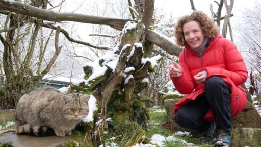 Gesa hockt in einem Gehege im Wildkatzendorf im thüringischen Hütscheroda. Sie zeigt auf eine Wildkatze, die neben ihr sitzt.