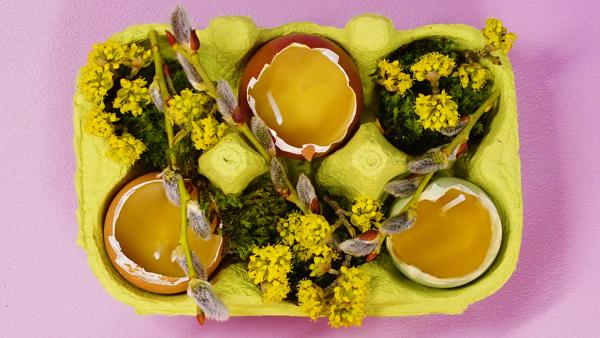 Drei Eierschalen mit Kerzenwachs in einem Eierkarton mit Moos und Blumen