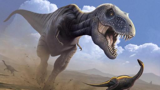 Dinosaurier | Rechte: ZDF Zeichnung eines Tyrannosaurus Rex