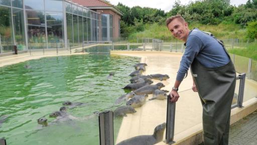 Eric bei den Robben | Rechte: ZDF Eric lehnt an einer Glaswand, hinter der ein Robbenbecken zu sehen ist.