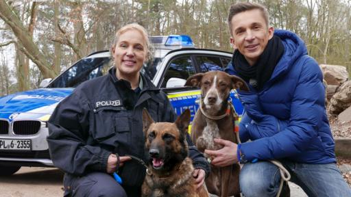 PUR+ - Teaser - Polizeihundestaffel | Rechte: ZDF, Collage PUR+ - Polizeihundestaffel