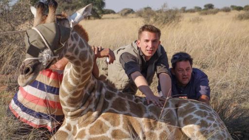 Eric rettet Giraffen