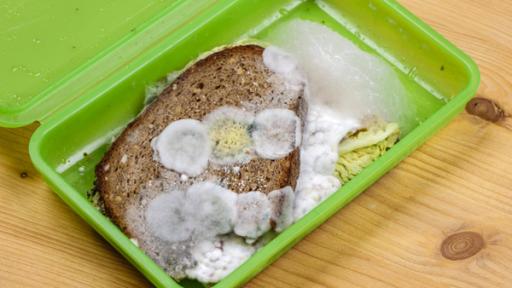 Verschimmeltes Brot in einer Brotbox.
