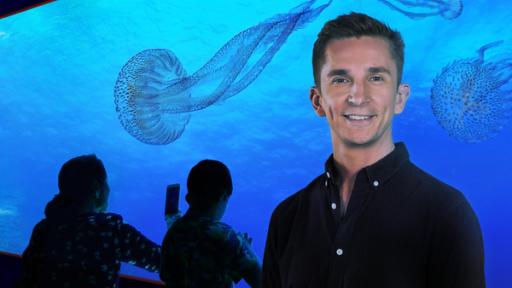 PUR+ - Teaser - Glibber - Geister im Meer (Quallen) | Rechte: Imago, ZDF, Collage PUR+ Moderator Eric Mayer steht im Berliner Zoo vor einem riesigen Aquarium mit Quallen. Er schaut in die Kamera. Es sind schemenhaft zwei weitere Besucher zu sehen, die mit Handys ins Aquarium fotografieren.