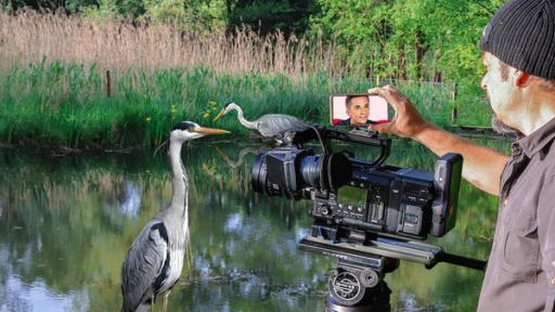 PUR+ - Bühne L - Tierfilmer - Neue Bühne | Rechte: ZDF, Collage PUR+ - Tierfilmer - Neue Bühne