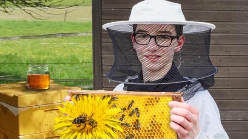 PUR+ - Bienen