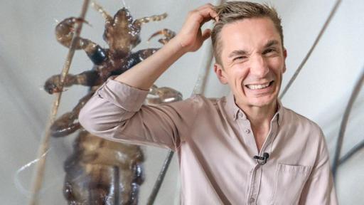 PUR+ - Teaser - Läuse, Wanzen, Zecken - wen juckt's? | Rechte: imago, ZDF, Collage Symbolbild: PUR+ Moderator Eric Mayer steht mit dem Blick in die Kamera und kratzt sich mit der rechten Hand am Kopf. Dabei macht er ein zerknirschtes Gesicht. Im Hintergrund sieht man in Großaufnahme eine Kopflaus von unten die sich an Fäden festhält.