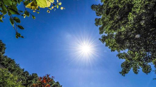 Sonne