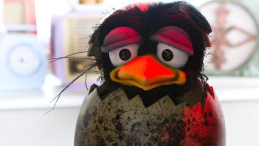 Rudi, der Findelrabe | Rechte: ZDF Rabe Rudi als Baby