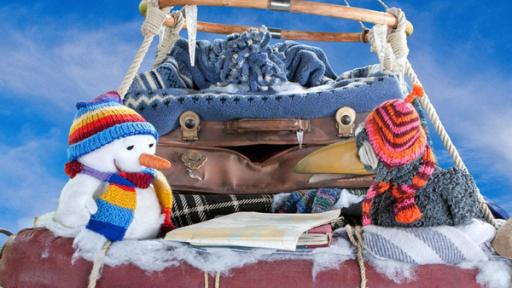 Rabe Rudi, Koffer und Schneemann Fritz-Eduard suchen das Schneemannland