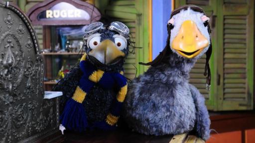 Zugvogel Rudi | Rechte: ZDF Rabe Rudi und Zugvogel Fridolin