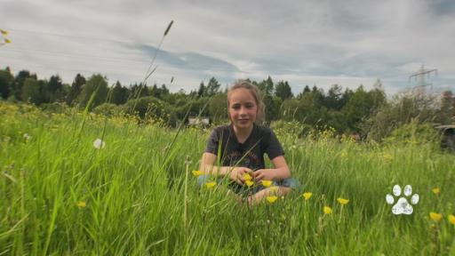 Lotta stellt ihre Tiere und ihre Familie vor | Rechte: KiKA