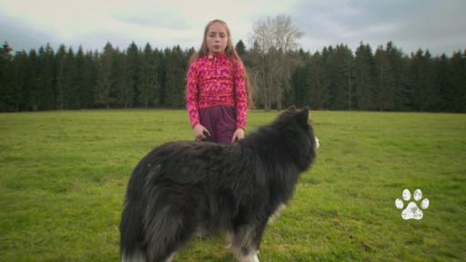 Lottas Hundetipps | Rechte: KiKA
