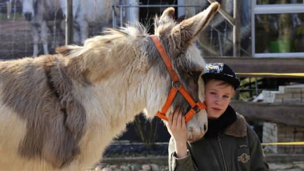 Julian mit seinem Pflegeesel Felix.