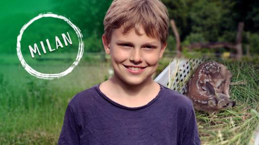 Schau in meine Welt, Milan rettet Rehkitze | Rechte: rbb/KiKA Milan rettet Rehkitze (Quelle: rbb/KiKA)