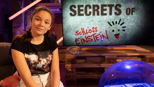 Secrets of Schloss Einstein 6 | Rechte: Kika Das Trio