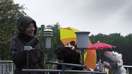 Wolle und Pferd bei Rike