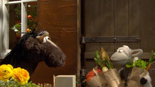 131. Ausgesperrt! | Rechte: NDR/Sesame Workshop - Screenshot Wolle und Pferd können ihren Haustürschlüssel nicht finden