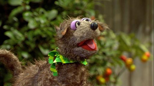 152. Die seltsame Nachbarin | Rechte: NDR/Sesame Workshop Folge 152: Polly möchte gerne mit Wolle und Pferd zum Konzert mitkommen.