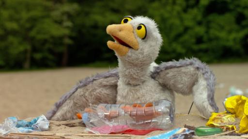 Folge 142: Eine Möwe hat sich in einer Plastikflasche verfangen.