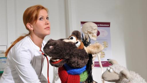 Pferd und Wolle beim Arzt