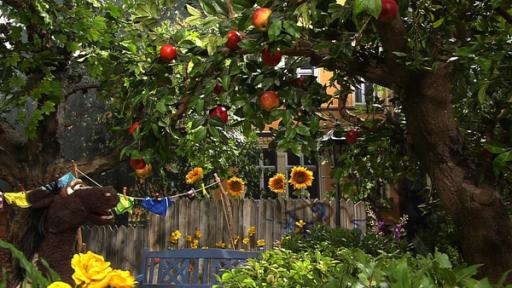87. Der Apfelstreit | Rechte: NDR - Screenshot Pferd unter einem Apfelbaum im Garten