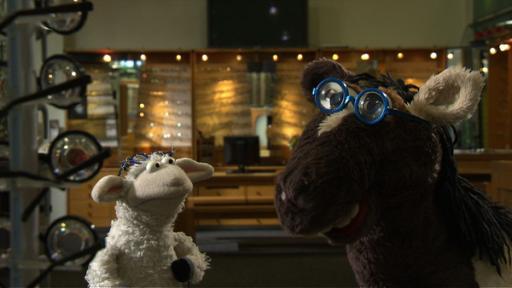 Die neue Brille | Rechte: NDR / Uwe Ernst Wolle und Pferd beim Optiker
