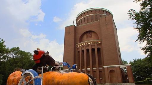 Sternschnuppen | Rechte: NDR / Uwe Ernst Pferd und Wolle vor dem Planetarium