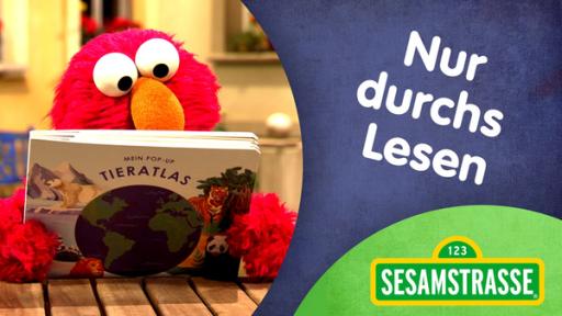 Nur durchs Lesen | Rechte: NDR/ SesameWorkshop - Screemshot Sesamstrasse 2929 Thumbnail